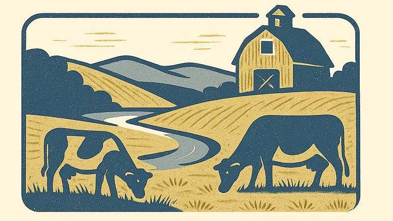 White Creek Blog logo